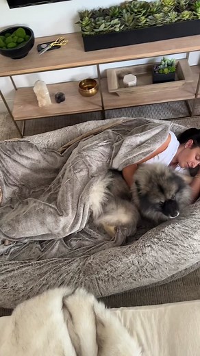 🤨 Things I didn't think I'd buy: this human dog bed made for lounging, napping, and reading! What I didn't expect? That it would be way more comfy than my couch, and actually help my back pain! #lifehacks #amazonfinds #humandogbed #amazon #tiktokmademebuyit