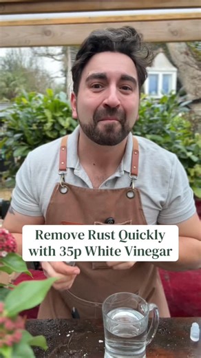 Gardening with Ish | Save those rusty tools with a simple bottle of 35p Distilled Whote Vinegar. A simple yet effective way to get your secateurs, snips and... | Instagram