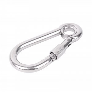 [Hot Item] High Quality 304 Stainless Steel Precision Casting Spring Snap Hook with Screw Carabiner