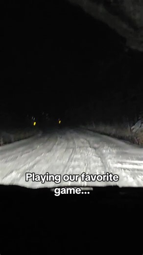 Driving in Snowy Conditions