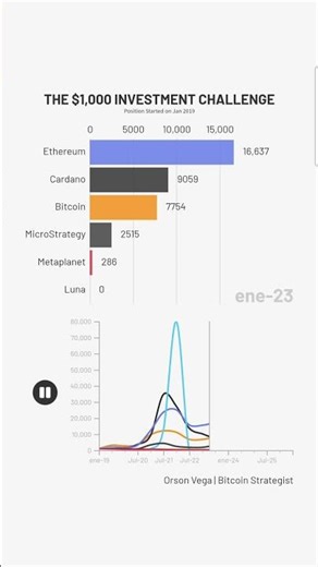 Bitcoin vs. Altcoins: The $1,000 Challenge (2019-2026) 🚀