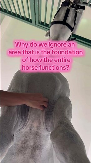 Horse lameness - read the description #thehorselistener
