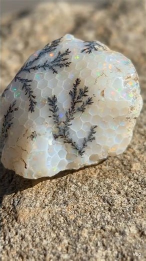 Dendritic White Opal with Stunning Honeycomb Pattern