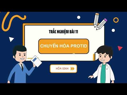 [HS-11TN] CHUYỂN HÓA PROTID