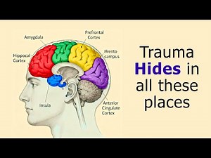 EMDR Therapy for Deep Psychological Trauma: Binaural & Bilateral QT4 Theta Waves (8Hz)