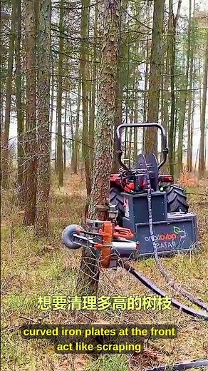 Robot climbs & prunes 15m trees in 60 seconds automatically 🌲🤖 #Forestry #TreeCare