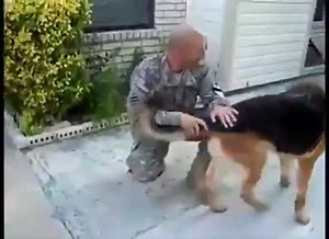 5.8K views · 236 reactions | This sweet baby couldn't be happier that daddy is finally home! | K9 Commando | Facebook
