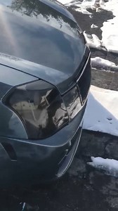 28K views · 221 reactions | It's most certainly not every day that you get to catch such a pretty sounding and looking V1!!! | High Tech Corvette | Facebook