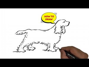 How to draw English Cocker Spaniel dog.
