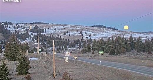 Montana Department of Transportation reports increased deer sightings on US 12