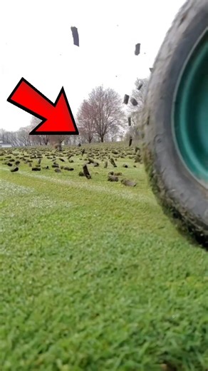 What exactly is this filthy-looking thing?