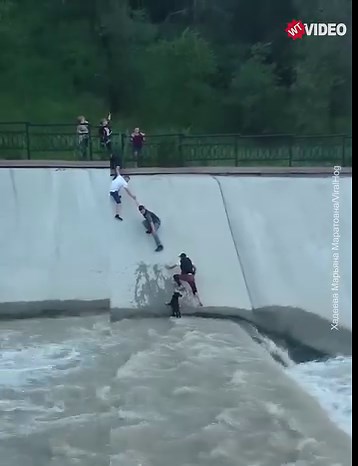 36K views · 873 reactions | It seemed impossible to succeed at first, but these men didn't give up 﫶 | WTVideo | Facebook