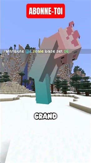 Les MEILLEURES COMMANDES MINECRAFT !!