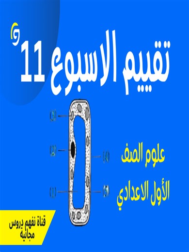 تقييم الأسبوع 11 – علوم الصف الأول الإعدادي 📘🔍 تقييم الأسبوع 11 جاهز لطلاب الصف الأول الإعدادي! 🧪✨ في الفيديو ده هنعرض أهم الأسئلة المتوقعة بأشكال مختلفة: اختر – أكمل – صح وغلط. 💡🔥 التقييم ده هيساعدك تثبّت معلوماتك وتعرف مستواك الحقيقي قبل أي اختبار. 📚💯 ركّز معايا وشوف هتجيب كام من 10! #تقييم_الأسبوع11 #مراجعة_علوم #تعليم_اونلاين#EducatorAward