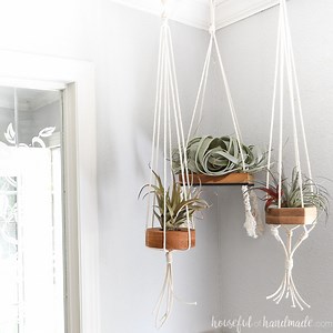 Hanging Air Plant Holder DIY