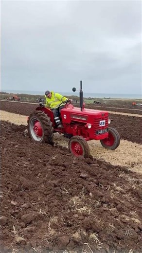 International B275 tractor and McCormick plough at the Scottish Ploughing Championships 2025 #plough
