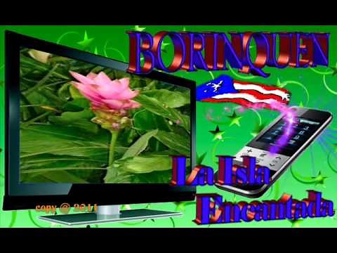 Ramito-Puerto Rico y Yo