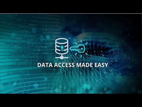 PolyWorks|DataLoop - Data access made easy