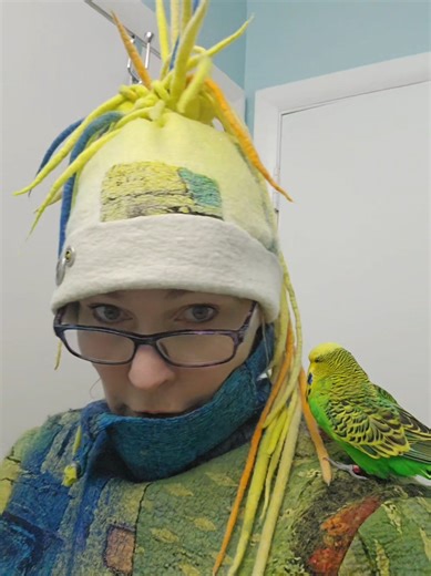 Feeding Birds in Snowy Conditions