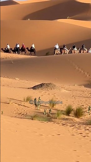 A day in the Sahara Desert, Morocco