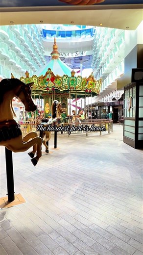 This is why I keep booking the next cruise before we even get home.#hellocruiselife #cruisetok #bookit #travelmore