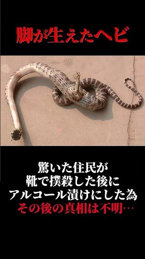 Truly a miracle... 3 mysterious creatures created by mutations part 3 #shorts #slowexplanation