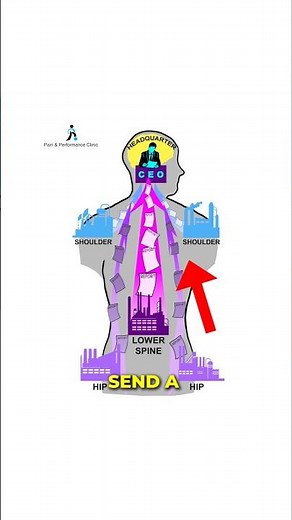Understanding Pain Signals: How Your Body Communicates with Your Brain