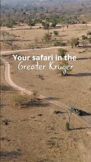 Your Safari in the Greater Kruger