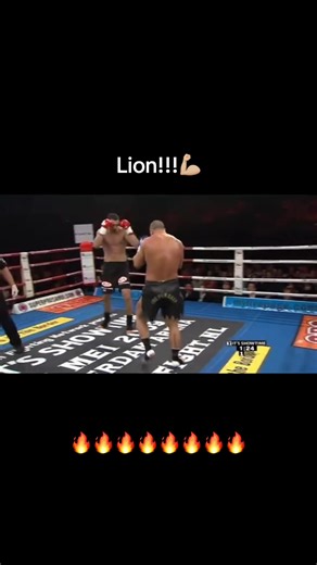 Badr Hari vs Frédéric Sinistra Kickboxing KO Highlights