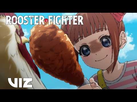 Want Some Chicken? | Rooster Fighter | VIZ