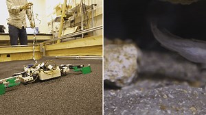 This Robot Helps Scientists Learn How Walking Evolved