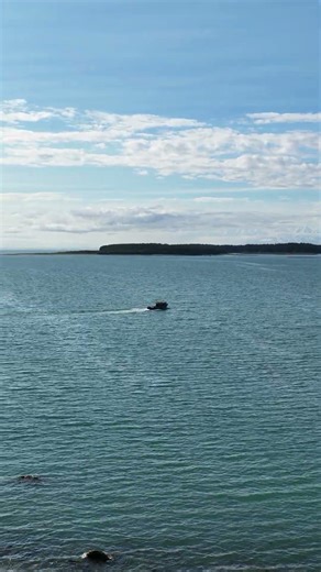 Yakutat Alaska 🐠 The views outside of the cabin!