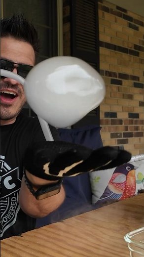 Dry Ice Bouncing Bubbles #bubbles #dryice #science