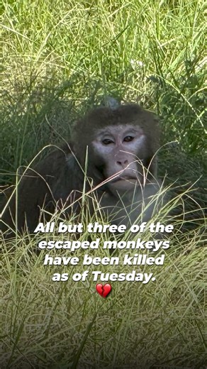 This never should have happened!