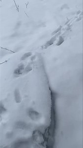 11 reactions | A beautiful New Years Day | Couples Resort | Facebook