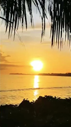Tropical Island Sunset 🌅 Waves, Birds & Crickets Relaxing Nature Ambience