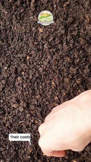 Earthworms: Nature’s Soil Builders | Improve Soil Health & Crop Growth! | Spring Scientific