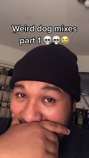 I need a chug 😭😭 #fyp #viral #dog