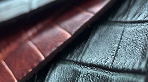 clip-3427350293-rotation-reptile-skin-texture-set-background