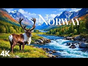 Norway’s Untamed Beauty 4K: Untouched Wilderness & Incredible Wildlife