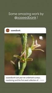 Adelaide Botanic Garden on Reels | Facebook