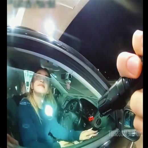 561K views · 1.8K reactions | Sandra Dillon on Reels | Facebook