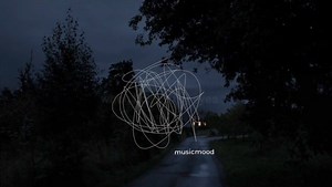 50K views · 1.3K reactions | The song "8 letters“ by why don't we | 홈홪홨홞환홢홤홤홙. | Facebook