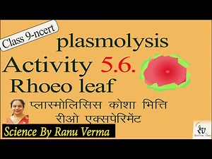 Activity 5.6 NCERT Class 9th - Experiment with Rhoeo Plant Leaf | Science by Ranu