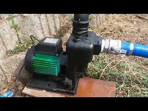 윌로펌프.wilo pu950m .korea farm water pump.신비복숭아 묘목관수작업.현장농업용펌프.