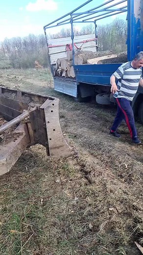 Exploring a Heavy-Duty Logging Truck in Nature