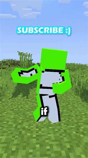 Minecraft Baby Piglin Problem Solved!