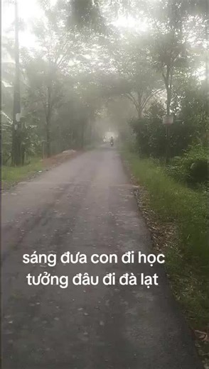 Video của heo moi (@heo.moi79) với bản nhạc nhạc nền - Minh Hay Cười 🤡