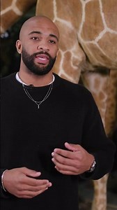 Why do giraffes have spots? #NHM #Giraffe #Africa