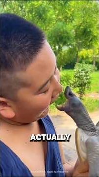 You’ve Been Wrong About Turtle Shells This Whole Time! 🐢